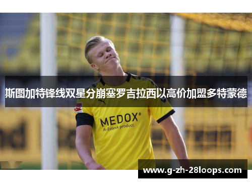 斯图加特锋线双星分崩塞罗吉拉西以高价加盟多特蒙德 斯图加特锋线双星分崩塞罗吉拉西以高价加盟多特蒙德