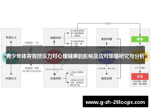 青少年体育竞技压力对心理健康的影响及应对策略研究与分析