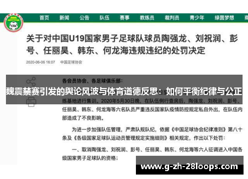魏震禁赛引发的舆论风波与体育道德反思：如何平衡纪律与公正