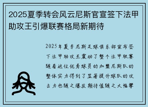 2025夏季转会风云尼斯官宣签下法甲助攻王引爆联赛格局新期待
